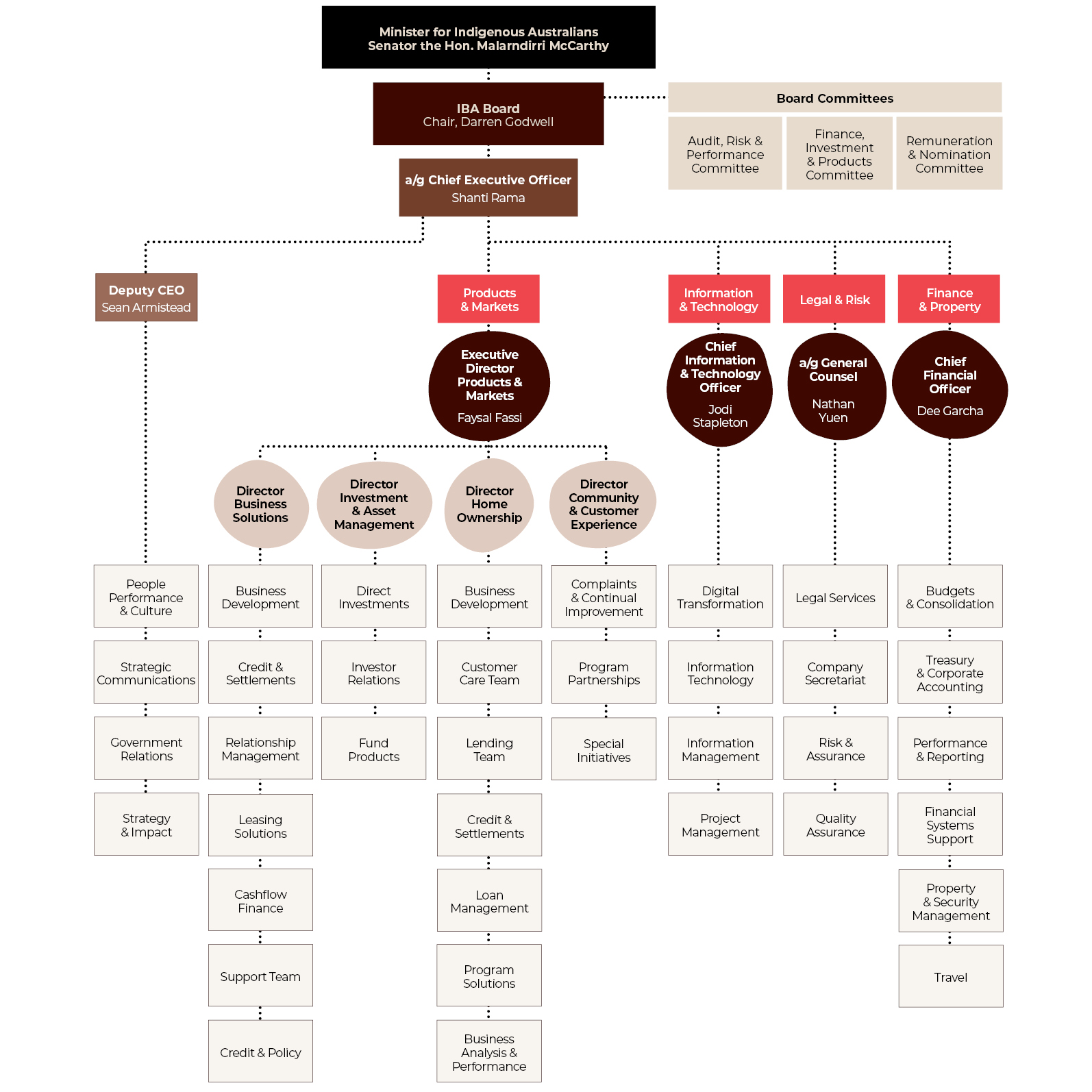 a chart showing IBA's organisationsal structure.